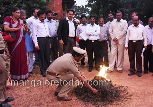 DK administration destroys 18 kg seized ganja 1